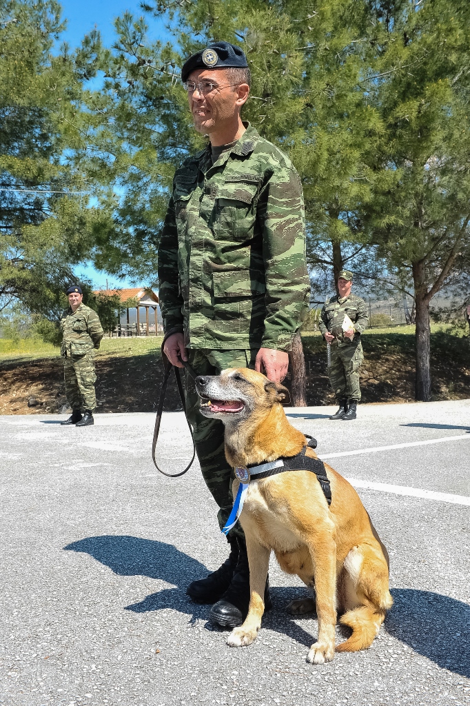 στρατιώτες Σκύλος 