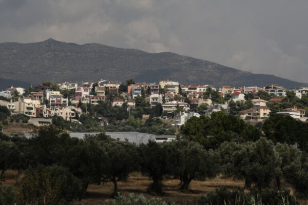 Δασικοί χάρτες