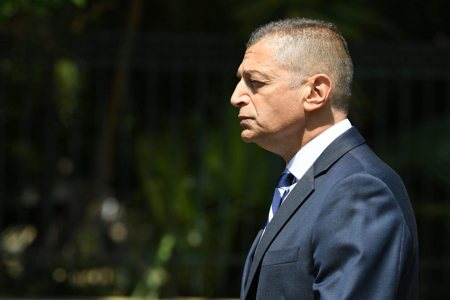 Στεφανή