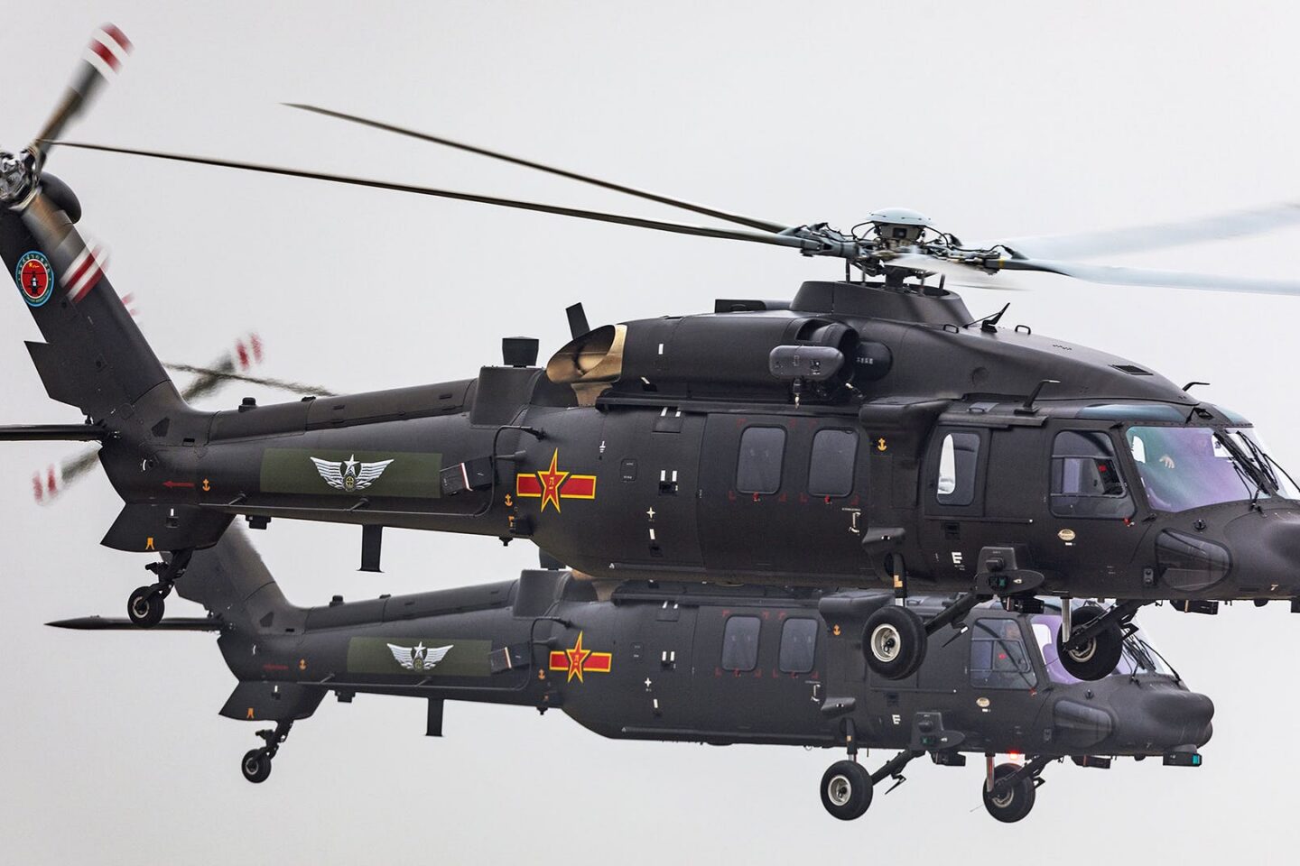 Z-20