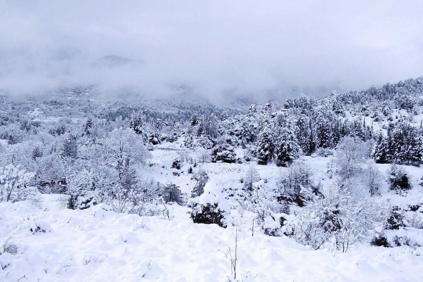 καιρός