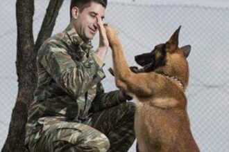 Πολεμικό Ναυτικό: «Καλούνται για κατάταξη» 20 στρατιωτικοί σκύλοι