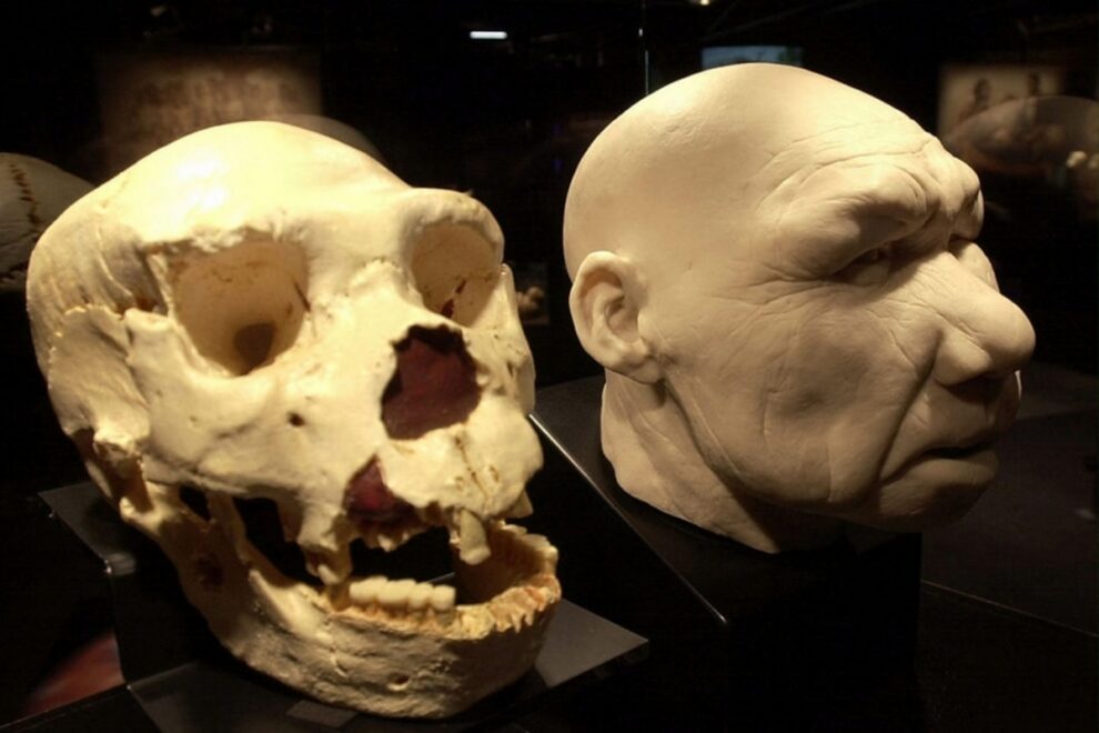 Homo bodoensis