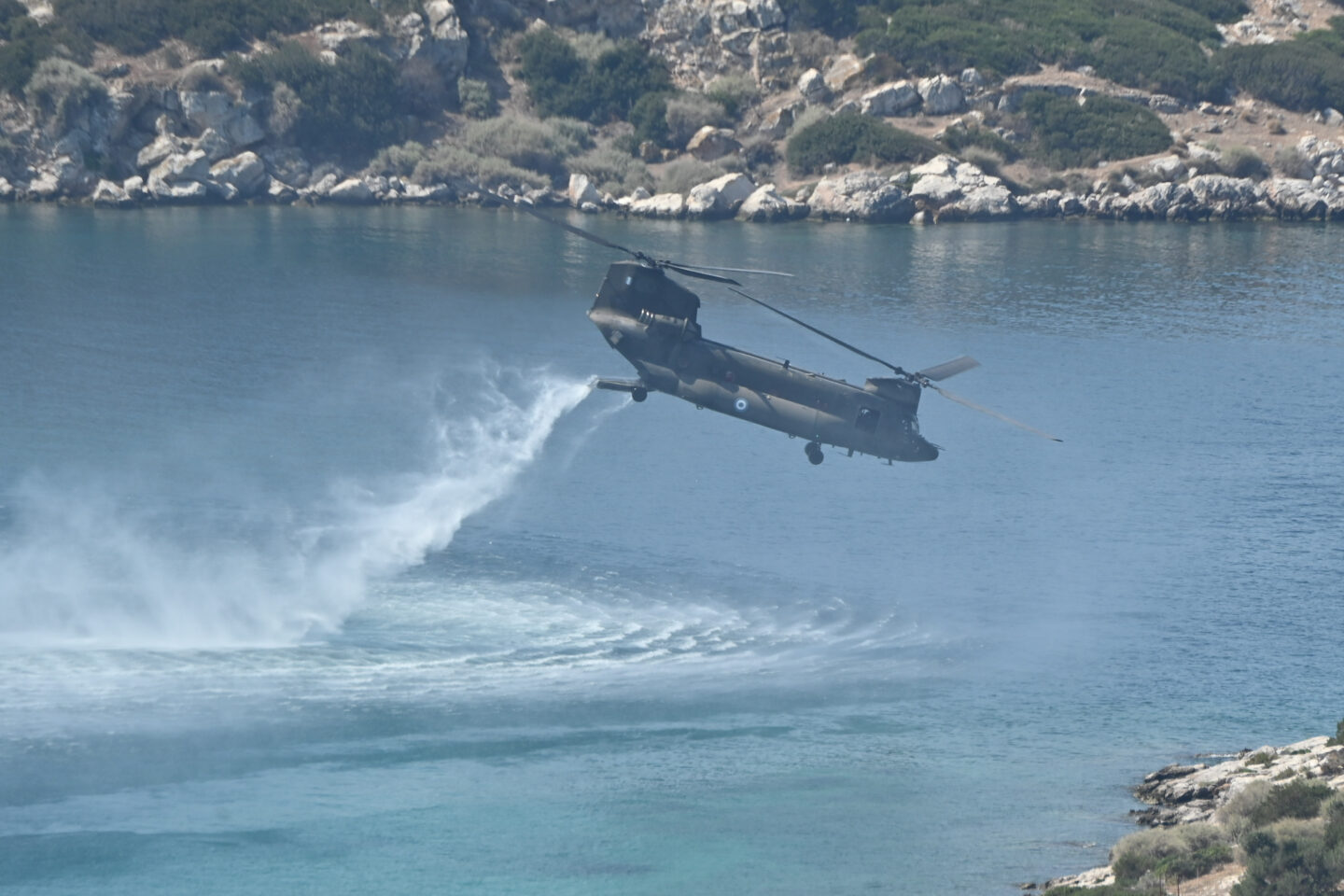 Chinook