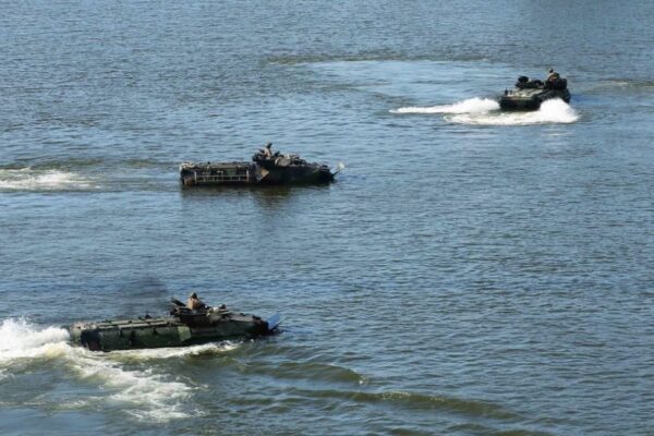 AAV7