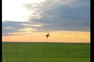 Su-25