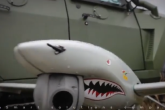 Shark