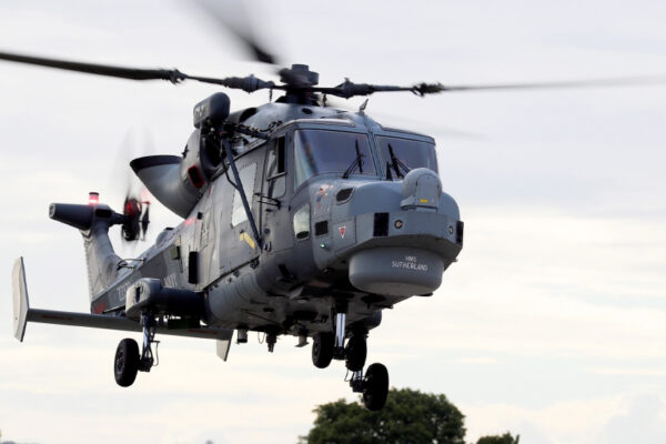 Wildcat