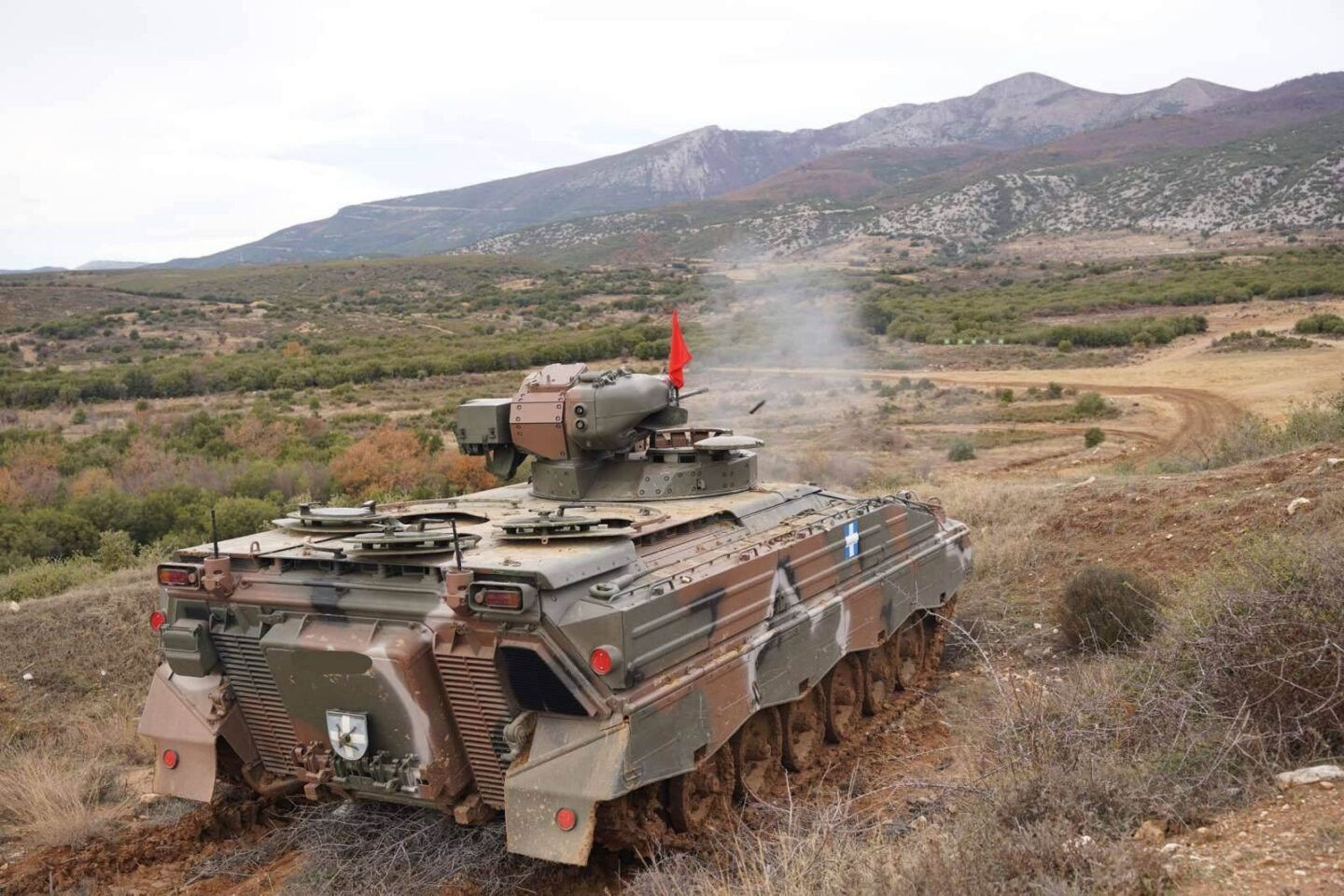 Marder