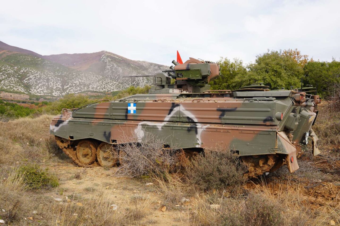 Marder