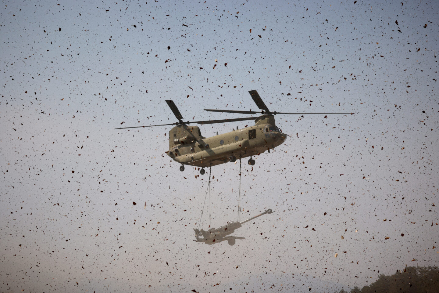 Chinook
