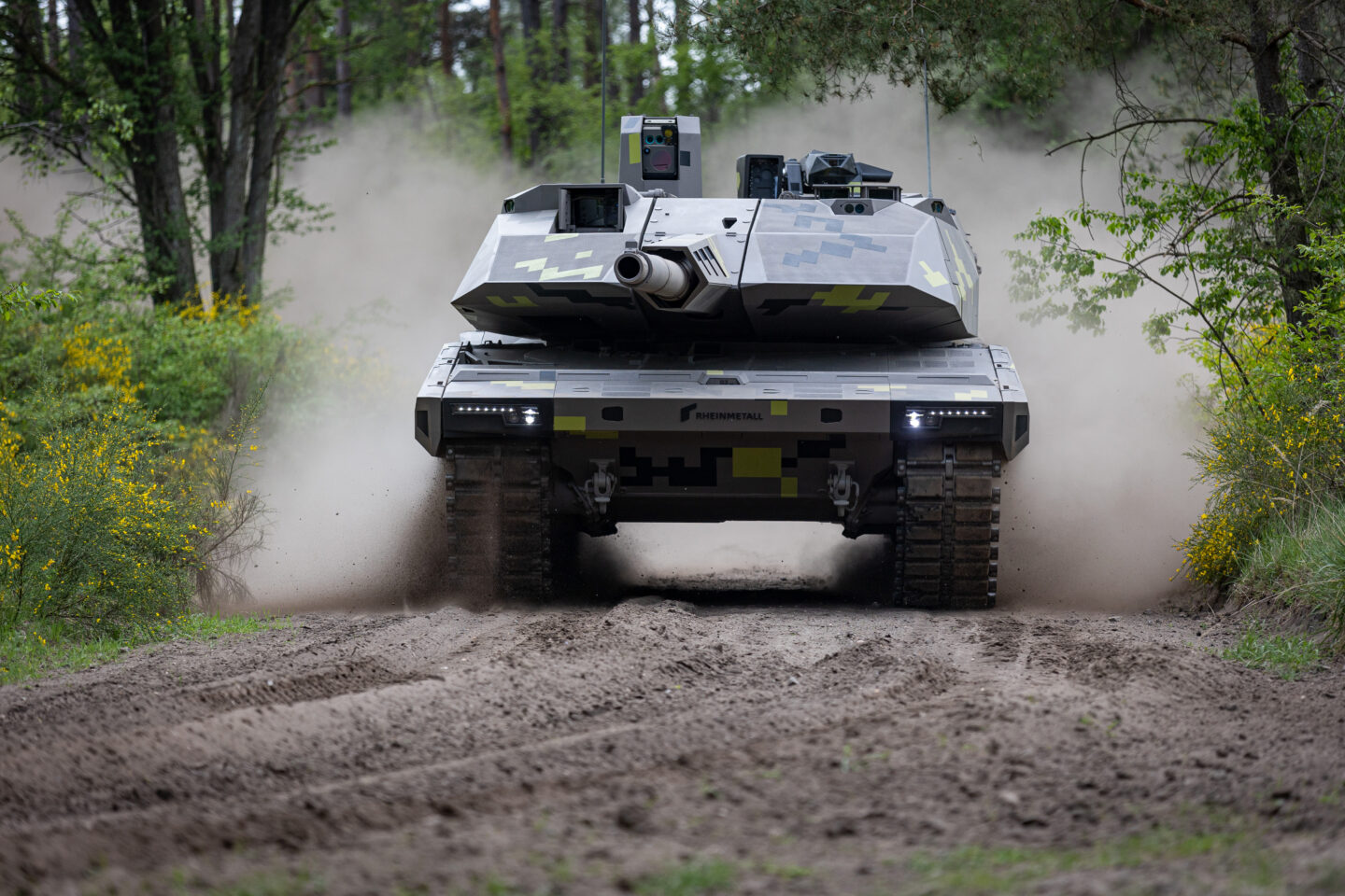 Panther