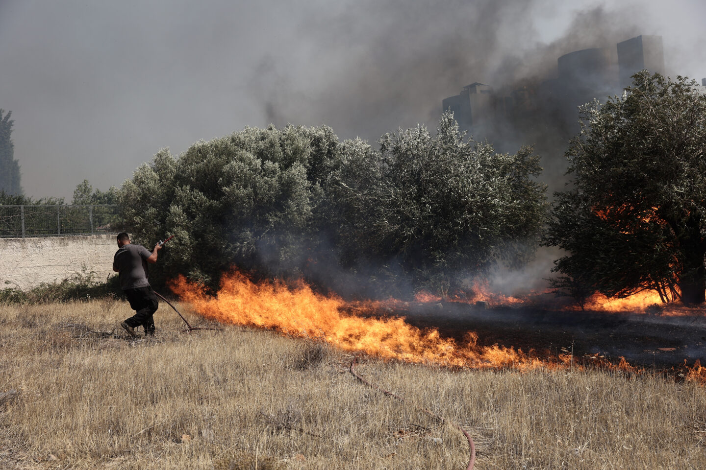 Ένοπλες Δυνάμεις