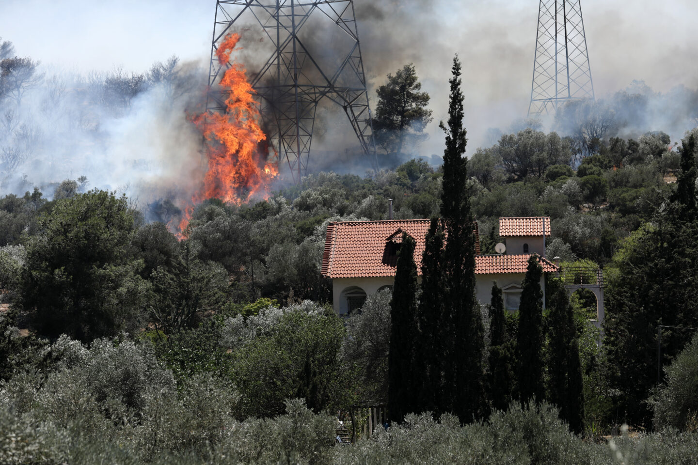 Νέο Κουβαρά