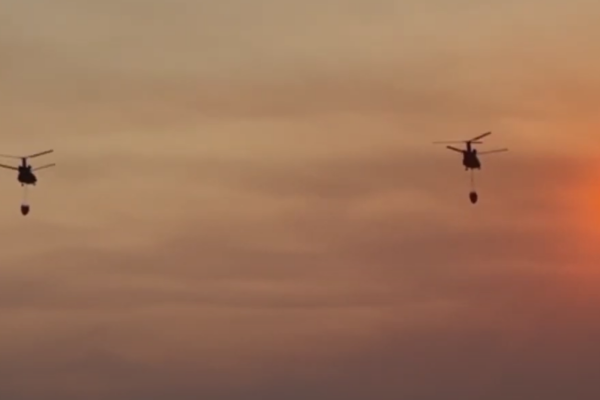 Chinook