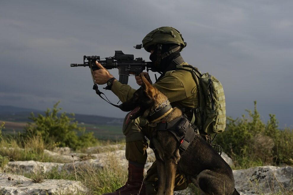 IDF