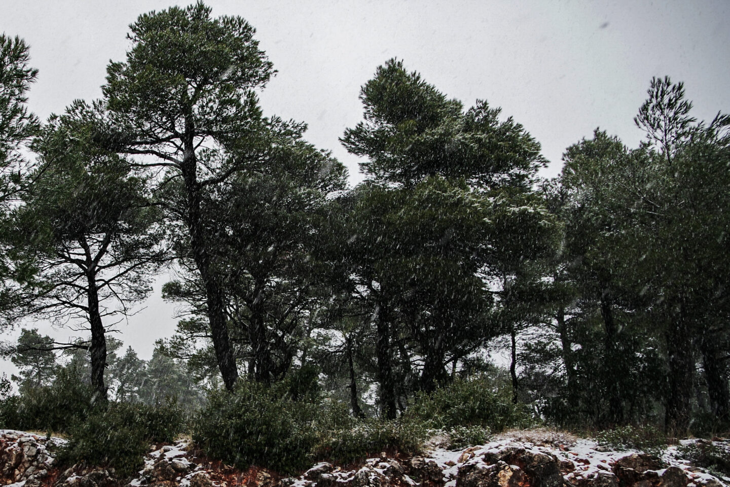 καιρός