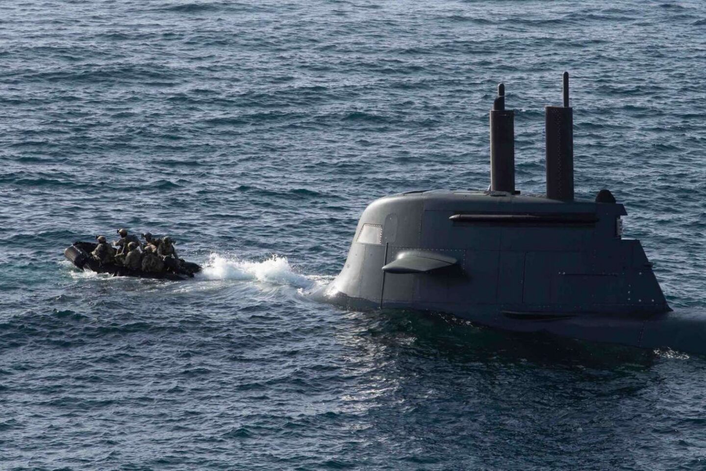Dynamic Manta