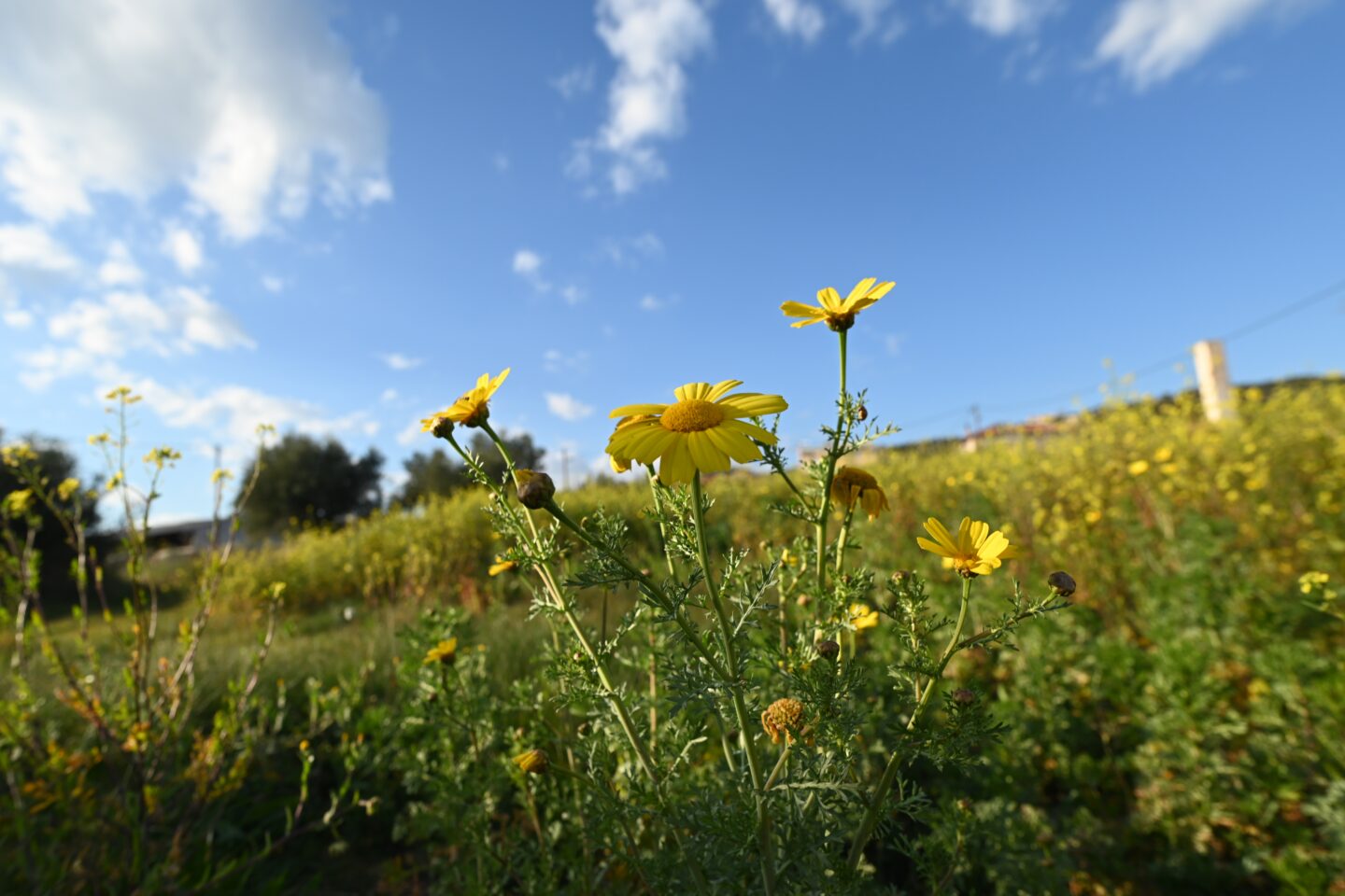καιρός