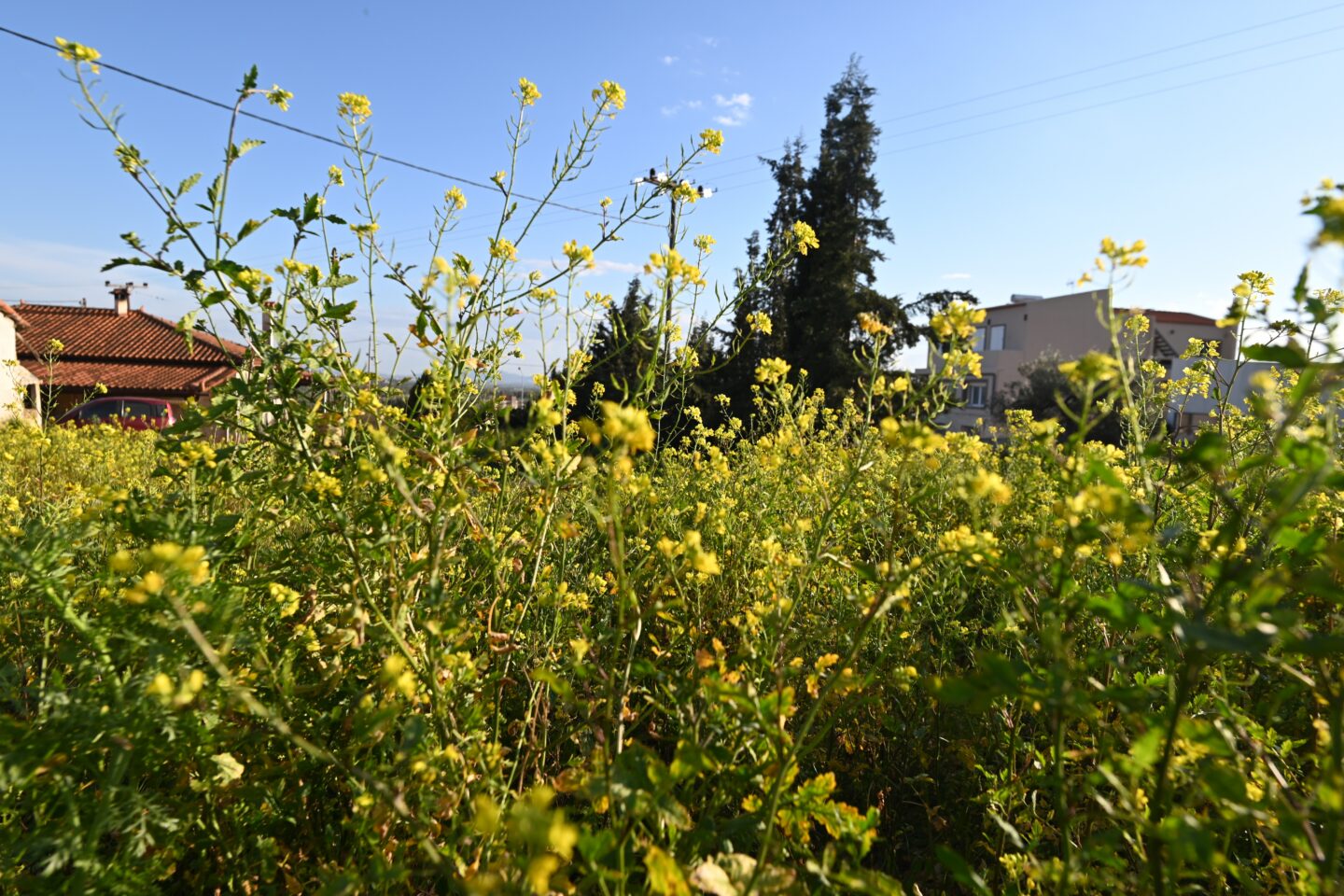 καιρός