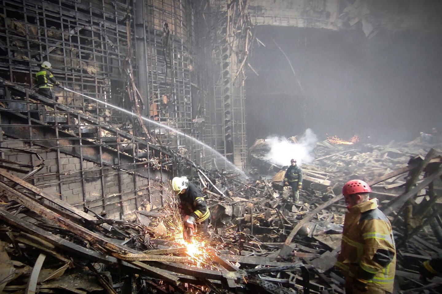 Crocus Cith Hall - FSB