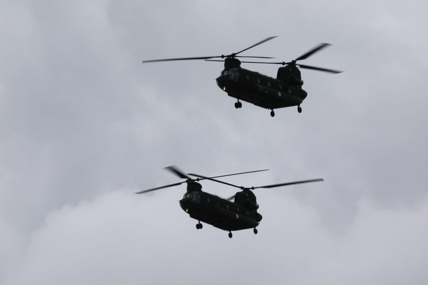 Chinook
