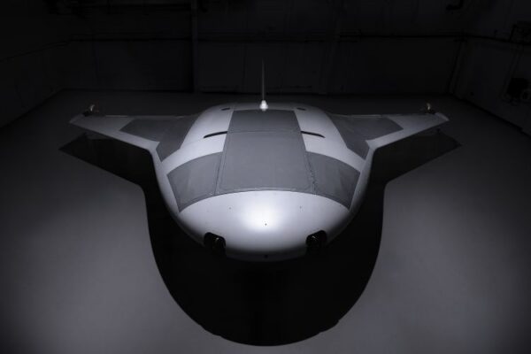 Manta Ray