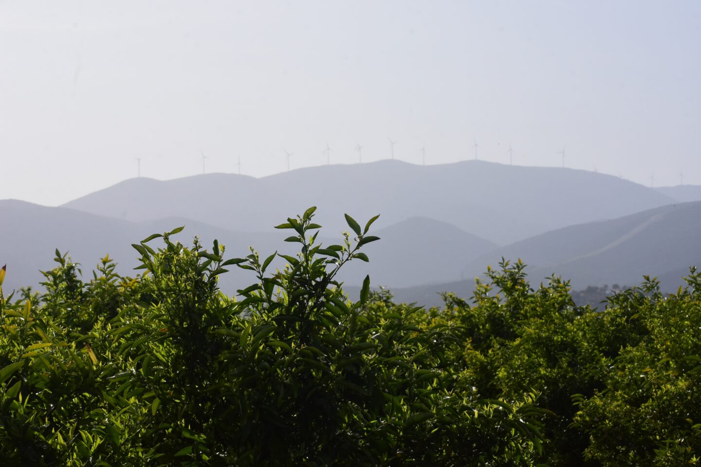 καιρός
