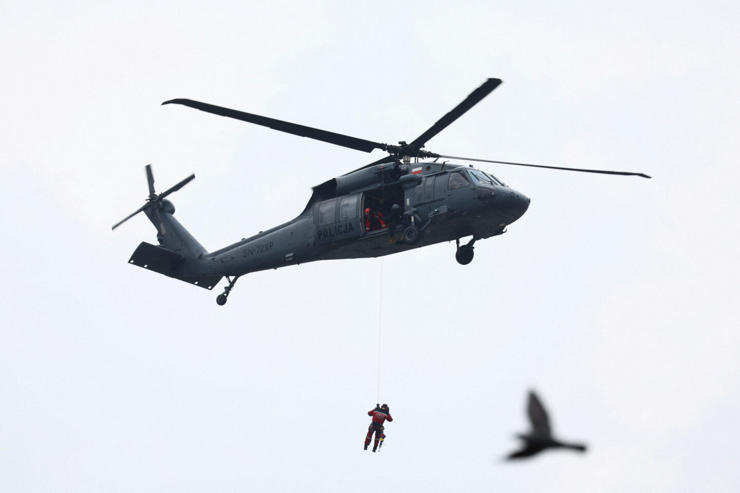 Black Hawk