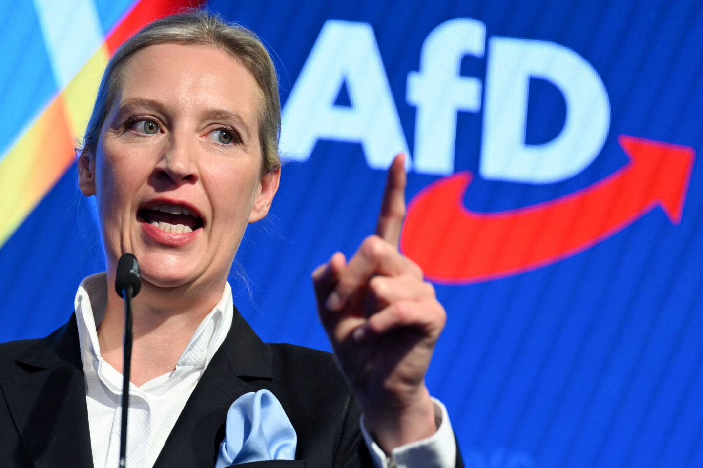 Γερμανία - AfD
