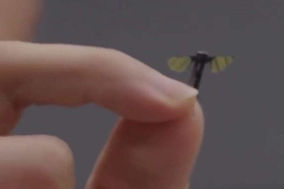 drone