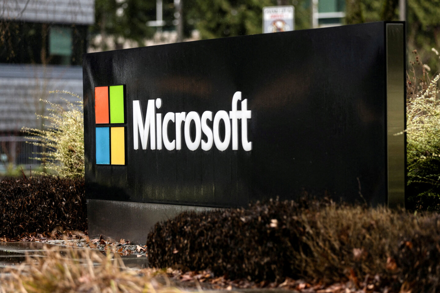 Microsoft