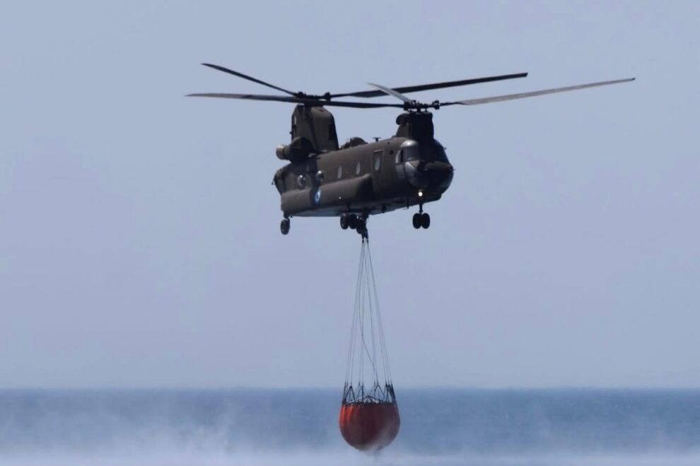 Chinook