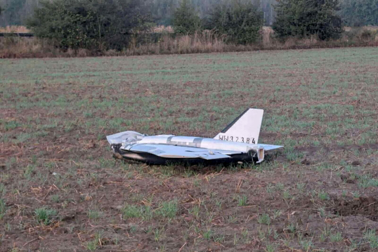 Πολωνία - drones
