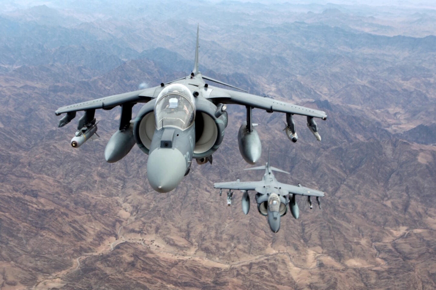 Harrier