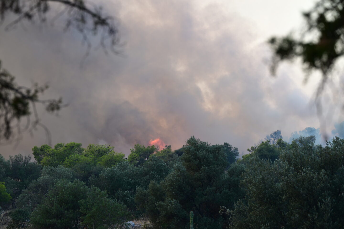 Πυρκαγιά στην Περιφερειακή Αιγάλεω και το Ποικίλον Όρος / ΤΑΤΙΑΝΑ ΜΠΟΛΑΡΗ / EUROKINISSI