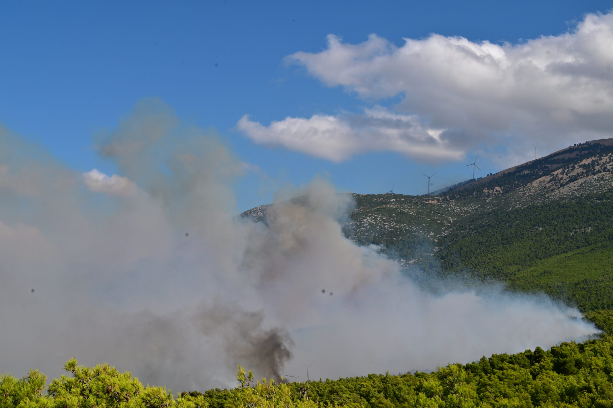ΤΑΤΙΑΝΑ ΜΠΟΛΑΡΗ/EUROKINISSI