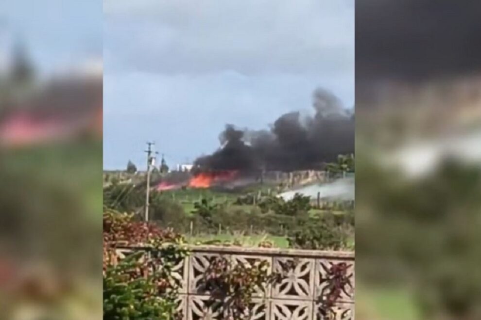 Hawk T2