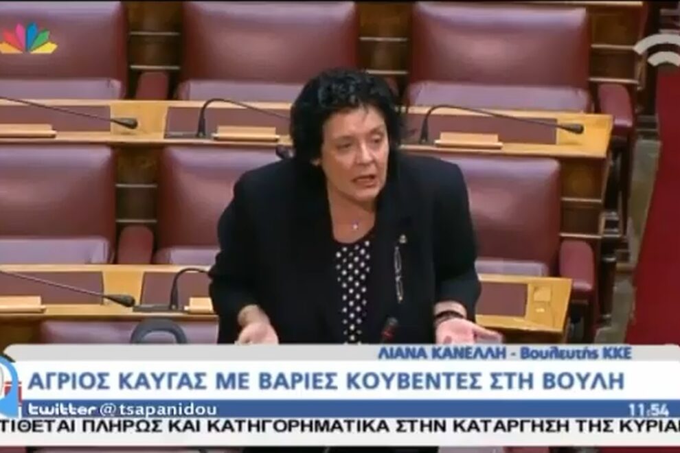 Ποιος είπε στην Κανέλη “θα με κάνεις Κασιδιάρη” – ΒΙΝΤΕΟ