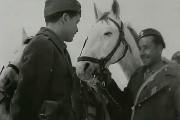 12/10/1949. Το τέλος του Εμφυλίου που κάποιοι ακόμη ζουν!ΒΙΝΤΕΟ-ΝΤΟΚΟΥΜΕΝΤΟ