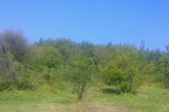Αυτός είναι ο τάφος ενός ήρωα Ελληνα – Θαμμένος μαζί με τους στρατιώτες του