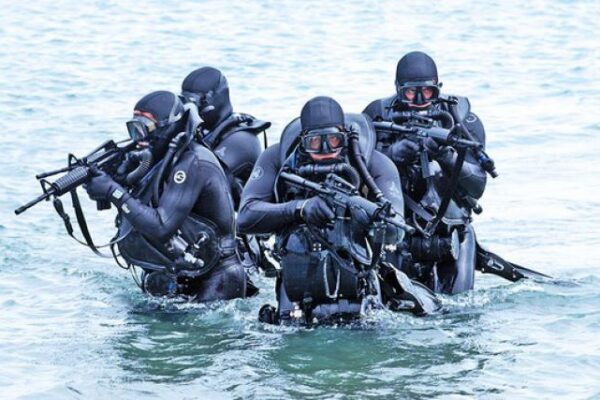 Seals