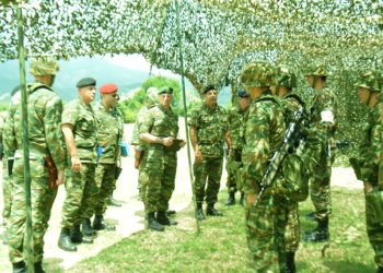 Γενικός Επιθεωρητής