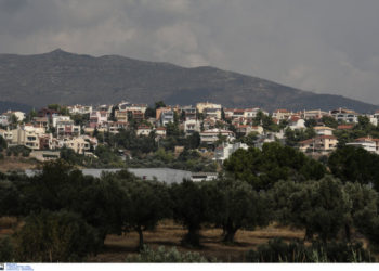 Δασικοί χάρτες