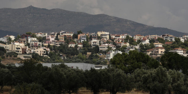 Δασικοί χάρτες