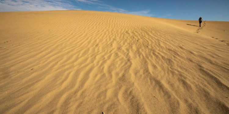 ερημοποίηση