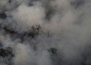 Αμαζόνιος - Μπολσονάρου