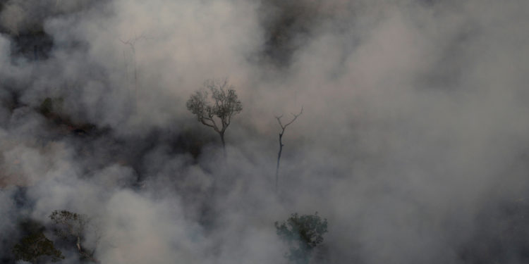 Αμαζόνιος - Μπολσονάρου