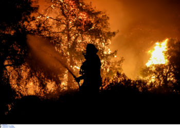 Φωτιά Εύβοια