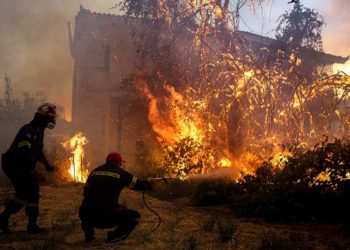 Πυρκαγιά Εύβοια